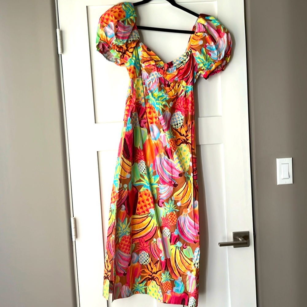 Farm Rio fruit salad maxi dress, new with tags, extra small